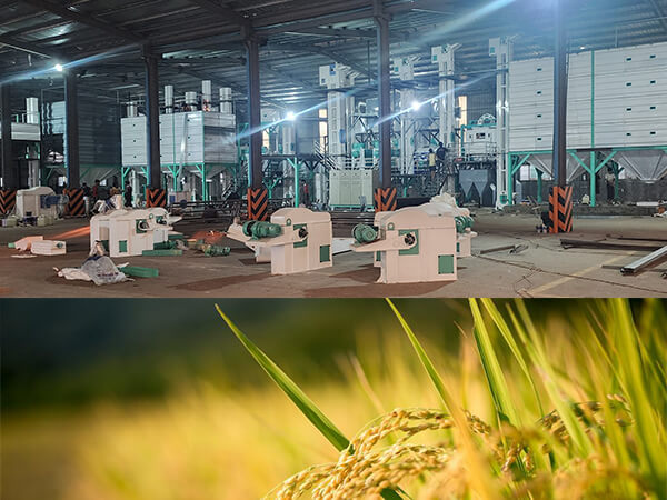 150ton_per_day_Rice_Milling_Line_Successfully_Installed_in_Myanmar 1