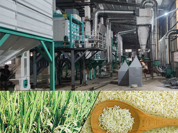 150ton_per_day_Rice_Milling_Line_Successfully_Installed_in_Myanmar 6